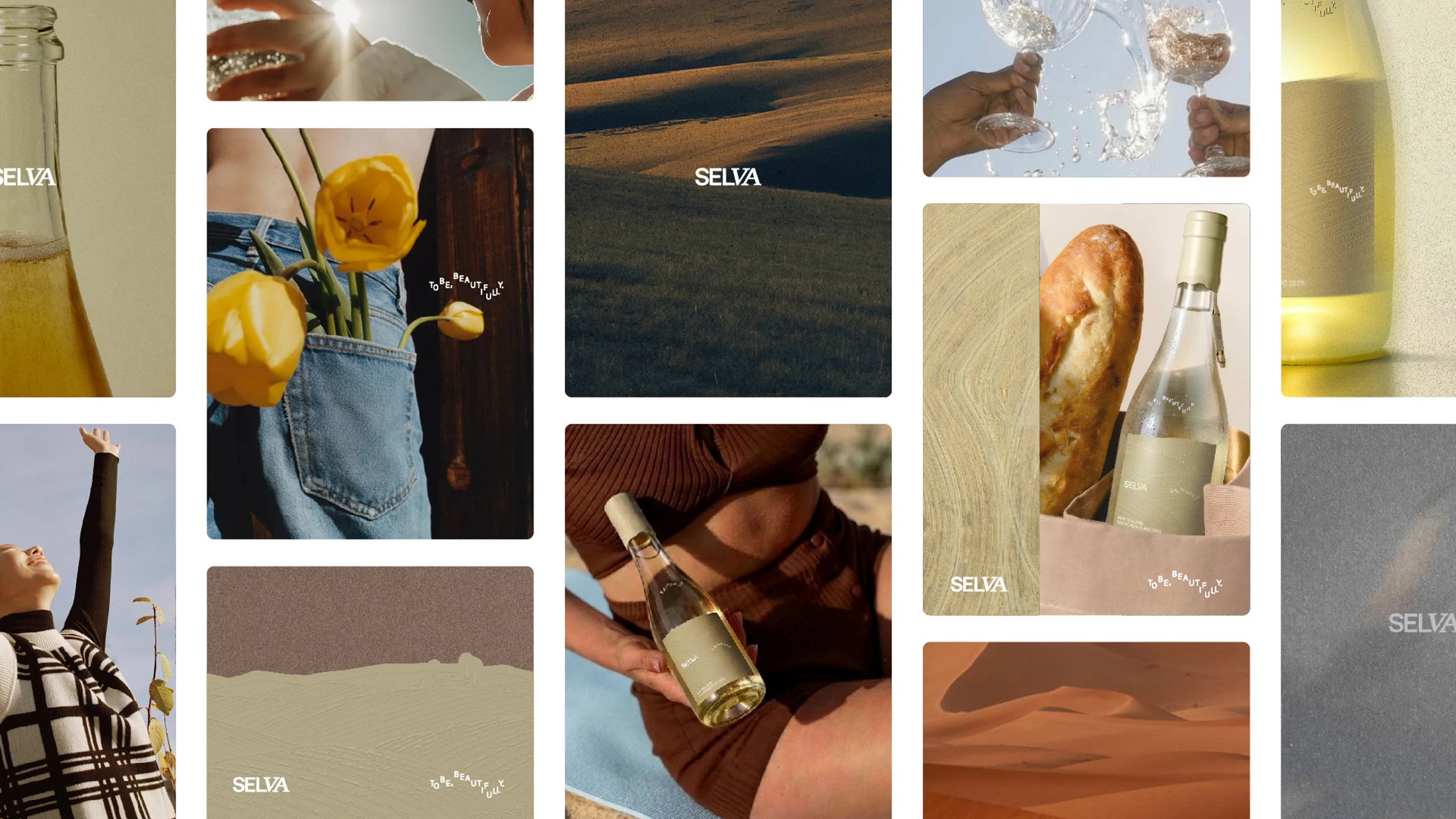 Selva project image 03