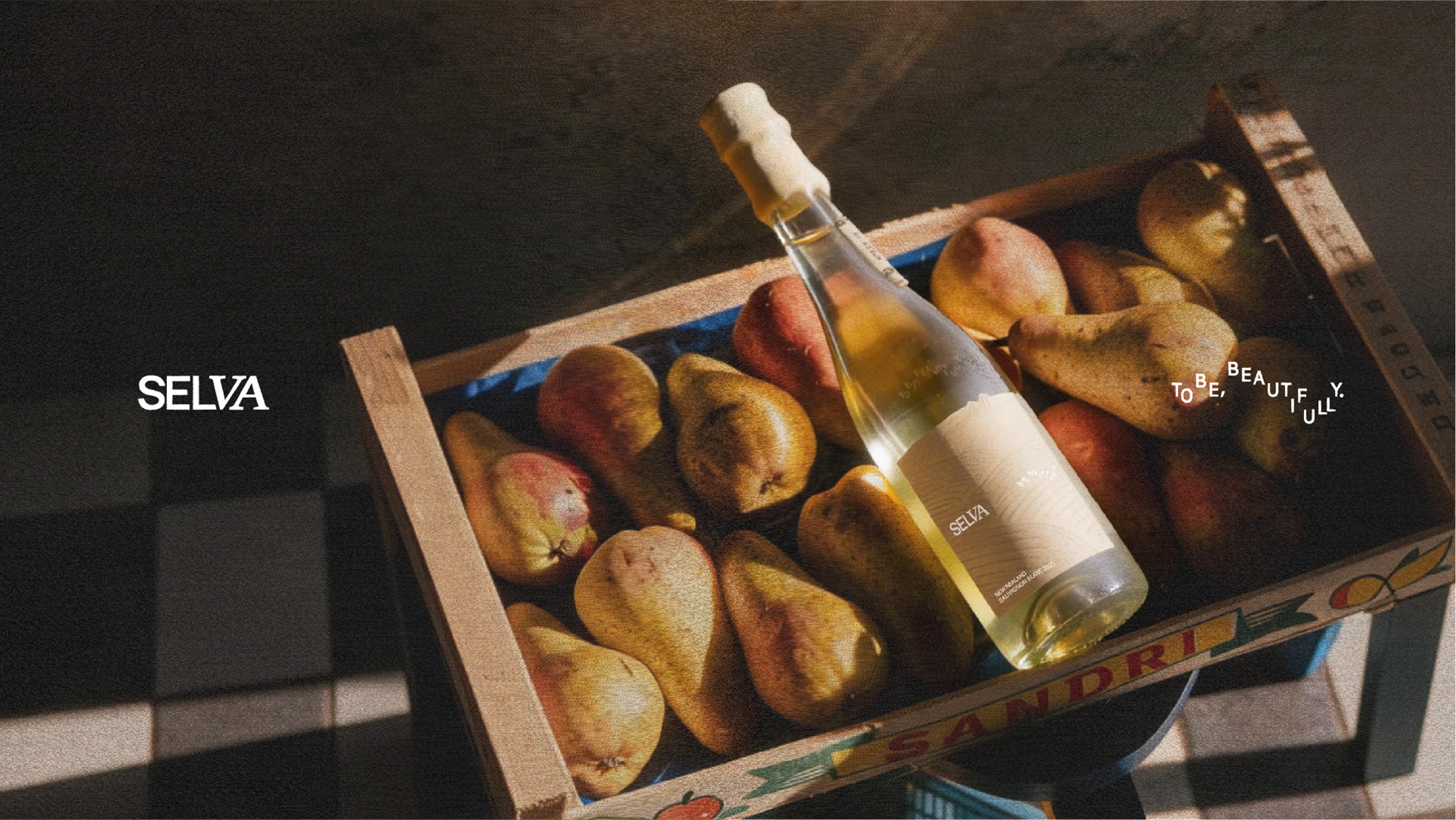 Selva project image 09